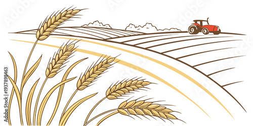 A picturesque scene of a red tractor harvesting golden wheat in a vast field. Vector