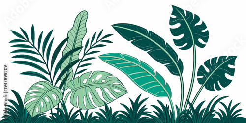 Vibrant tropical plants with large leaves and intricate patterns in a lush green setting Vector