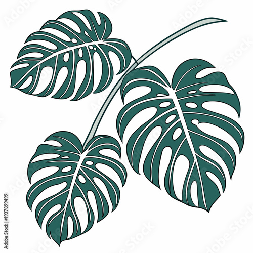 A close-up view of a vibrant green leafy plant with large, glossy leaves Vector