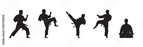 silhouette of man karate pose