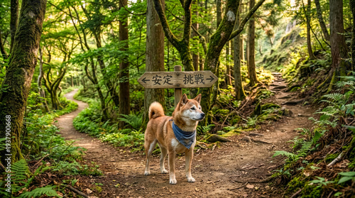 人生の分かれ道で決断する柴犬 ― 安定か挑戦か
