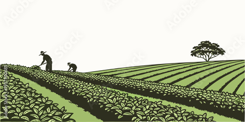 Farmers working in the fields during a beautiful sunny day Vector