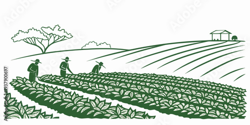 Farmers working in a field with a tractor and a horse-drawn plow. Vector
