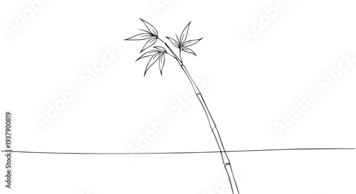 Minimalist line art of a bamboo plant on Transparent Background, simple elegant design element.