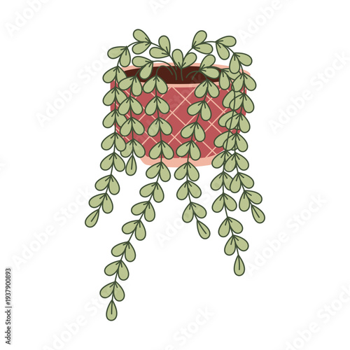 Vector illustration of hanging  houseplant with trailing leaves in decorative pot.