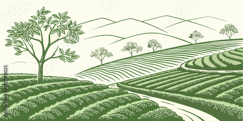 A serene landscape of rolling hills and lush greenery under a clear blue sky. Vector