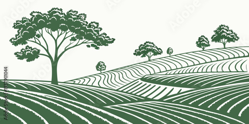 A serene vineyard landscape with rows of grapevines under a clear sky. Vector