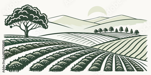 A serene landscape with a lone tree standing tall on a hill overlooking a vast field Vector