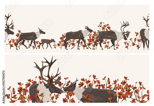 Autumn seamless horizontal borders set with reindeer caribou walking in red bearberry bushes. Vector fall tundra nature landscape with wild animals and arctostaphylos foliage.