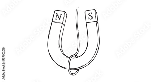 Simple line art illustration of a horseshoe magnet with north and south poles on a Transparent Background.