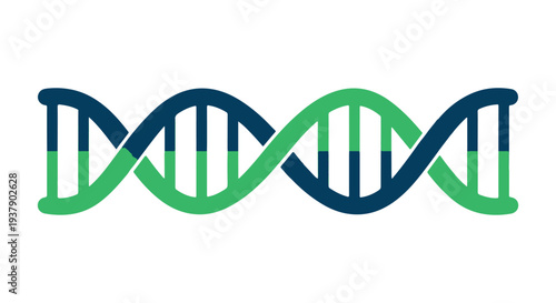 Stylized illustration of a DNA double helix structure in green and blue on a Transparent Background.