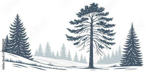 A serene winter landscape with tall evergreen trees covered in snow Vector