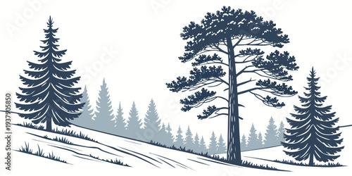 A serene winter landscape with tall pine trees standing in a snowy forest. Vector
