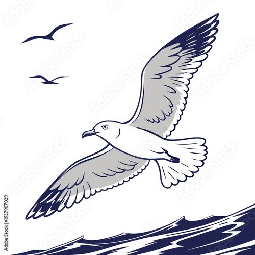 A seagull soaring over the ocean with other birds in the background Vector
