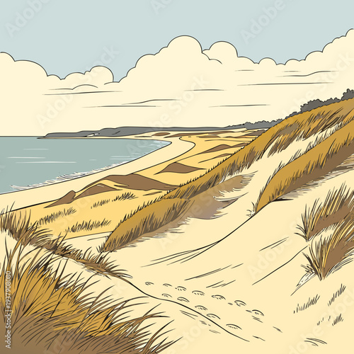 A serene landscape of a beach with rolling sand dunes and a clear blue sky. Vector