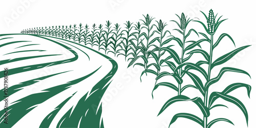 A lush green field of crops stretching towards the horizon under a clear sky. Vector