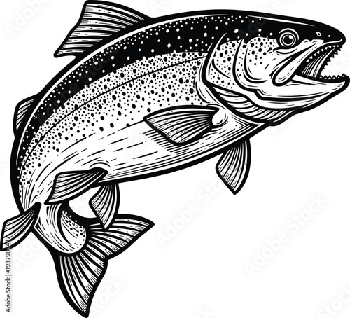 Detailed hand drawn illustration of a jumping trout fish with spotted skin pattern in a vintage woodcut style for fishing and outdoors designs