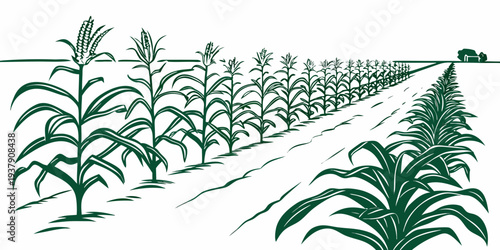 A detailed illustration of a wheat field with varying shades of green and brown. Vector