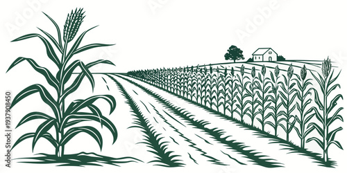A serene landscape depicting a vast field of crops with a farmhouse in the distance Vector