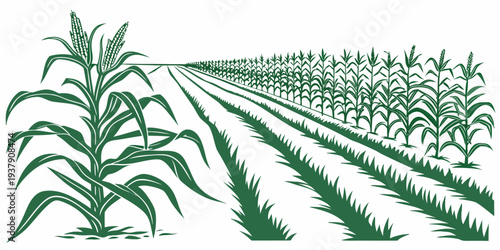 Rows of lush green crops stretching out into the distance under a clear blue sky Vector