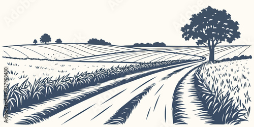 A serene landscape of a country road lined with trees and fields under a clear sky Vector