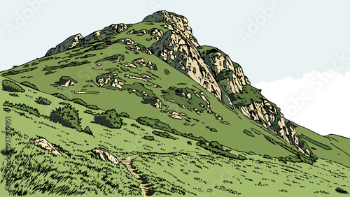 A majestic mountain peak covered in lush green vegetation under a clear sky. Vector