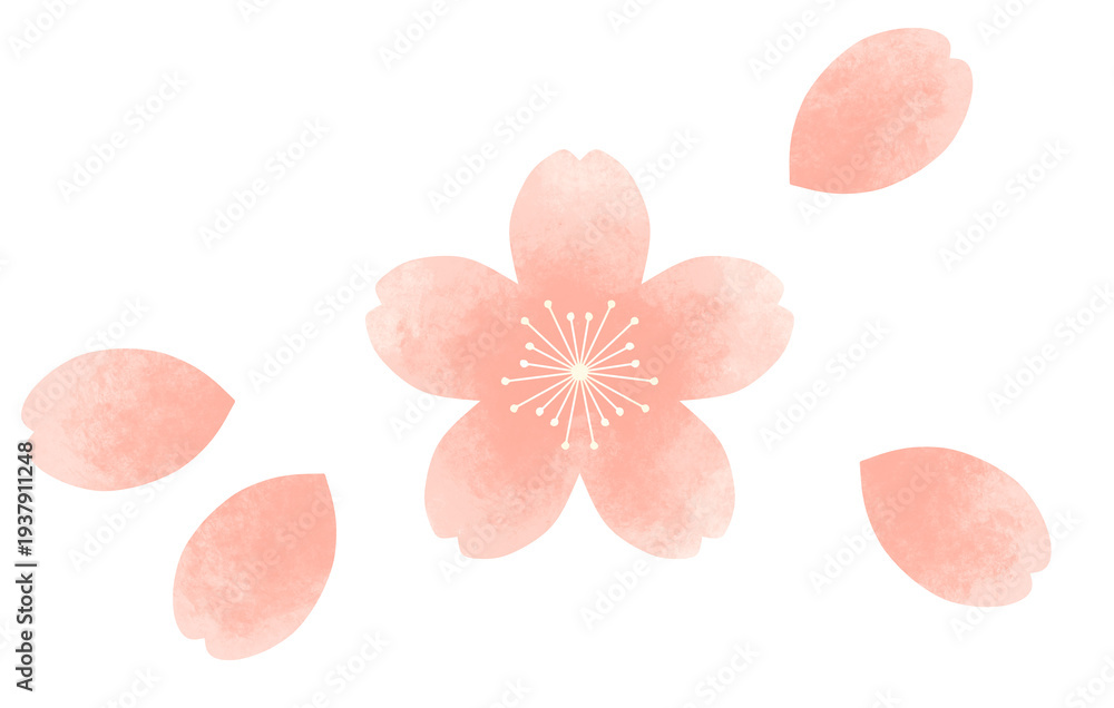 Naklejka premium シンプルでかわいい桜の花と花びら 水彩風装飾イラスト 春の花