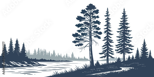 A serene landscape featuring a tranquil lake surrounded by tall, slender pine trees Vector