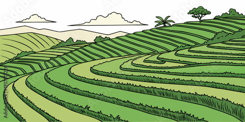 A picturesque landscape of rolling hills covered in lush green grass and dotted with trees Vector