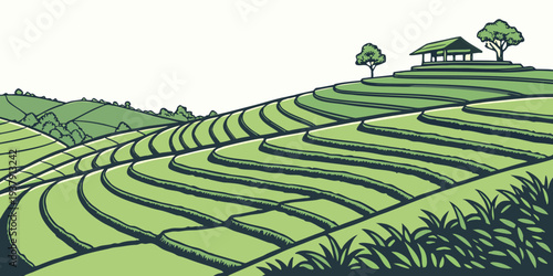 Vast green fields of crops under a clear blue sky with distant mountains Vector