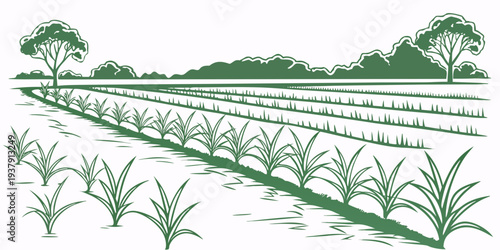 A serene landscape of a vineyard with rows of grapevines stretching into the distance Vector