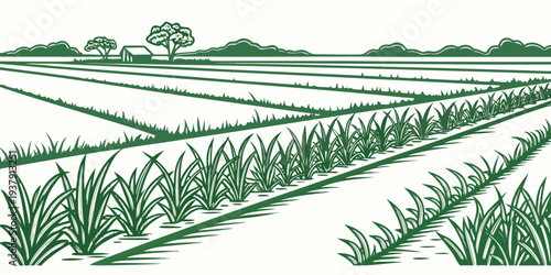 A serene landscape of rolling hills covered with lush green grass and trees Vector