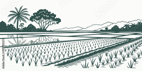 A serene landscape of lush green rice fields under a clear blue sky with distant trees. Vector