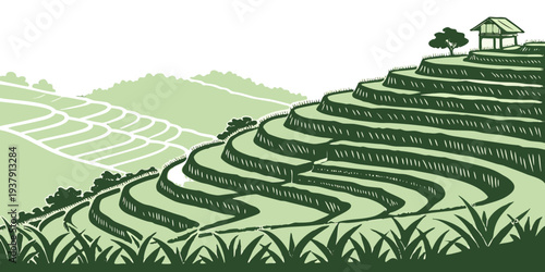 Aerial view of terraced rice fields in a lush green valley landscape Vector