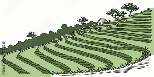 A picturesque view of terraced fields nestled in a lush green valley surrounded by trees. Vector