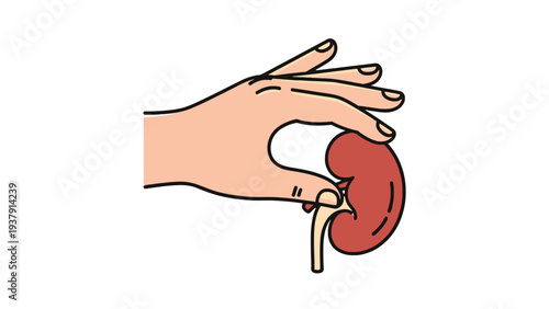 Hand Holding Kidney Illustration Representing Renal Health Disease Awareness and Medical Treatment