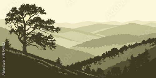 A serene landscape with trees overlooking a vast valley under a clear sky Vector