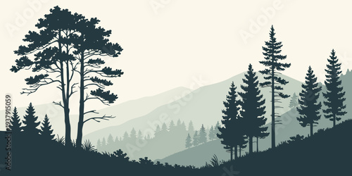 A serene landscape of tall trees standing on a misty mountain during sunset. Vector