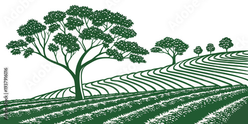 A serene landscape of rolling hills dotted with tall, slender trees. Vector