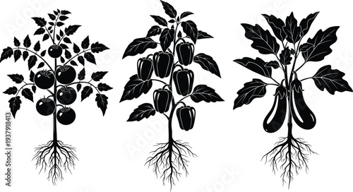 Black Silhouette Vector Set Featuring Garden Vegetable Plants Modern Home Furniture Icons Decorative Swirl Ornaments and a Shepherd With Sheep Flock