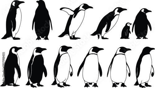 Black Silhouette Vector Set Featuring Furniture Icons Penguins Football Players Shepherd With Sheep Vegetable Plants And Decorative Swirl Ornaments For Design