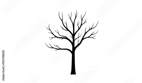 Tall Leafless Dead Tree Silhouette with Long Bare Branches Vector
