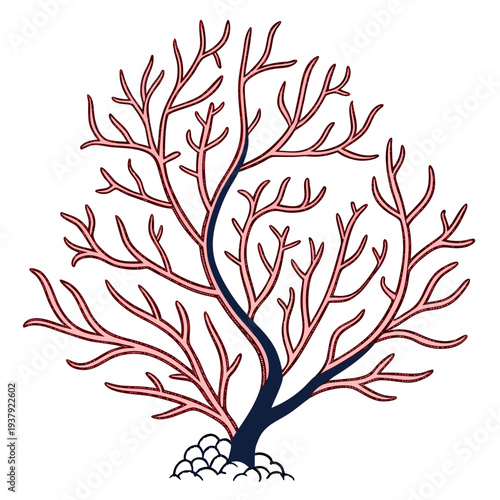 A vibrant coral reef with intricate branching structures and delicate sea life Vector