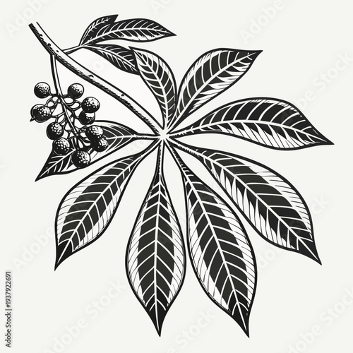 Intricate illustration of a leaf with detailed veins and a small bud Vector