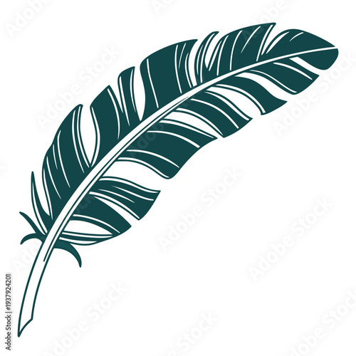 A detailed illustration of a single, elegant, blue-green feather Vector