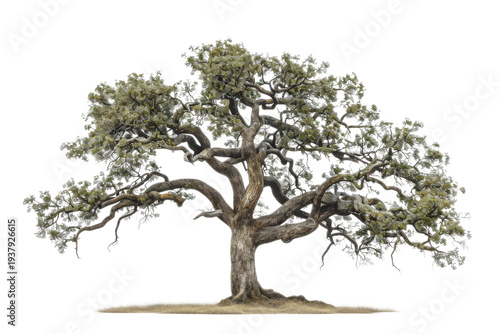 Architectural tree model for seasonal landscape visualization