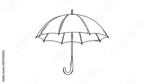 Open umbrella outline vector illustration simple cane umbrella contour line drawing