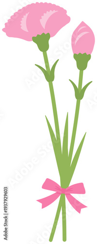 ピンクのカーネーションをリボンで結んだ花束、母の日のイラスト素材