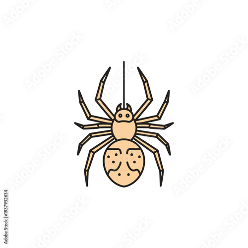 Cartoon Spider Hanging vector illustration