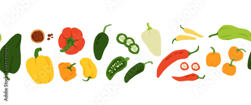 Pepper variety seamless border. Bell, chili, jalapeno, habanero, banana, poblano, cayenne types. Vegetable horizontal pattern hand drawn vector illustration
